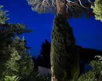 Maison d'Orange - La Pinede - Saint-Tropez - Utsikt