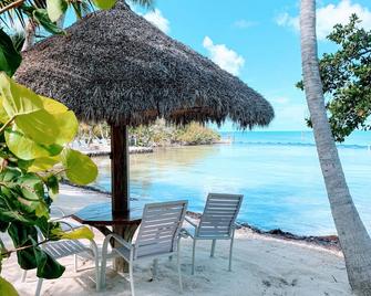 Private Island, Fl Keys Entire Island, Home, A/C, Boat, Dock, Beach, Bikes, Wifi - Marathon - Patio