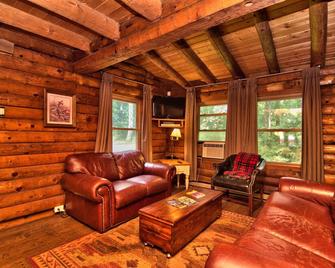 Fall deals!! 3rd night FREE when booking a weekend! Awesome winter rates!! - Kunkletown - Living room