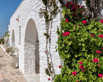 Saint Andrea Seaside Resort - Parikia - Outdoors view