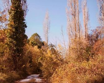 El Horno de Leopoldo - Hueva - Vista del exterior