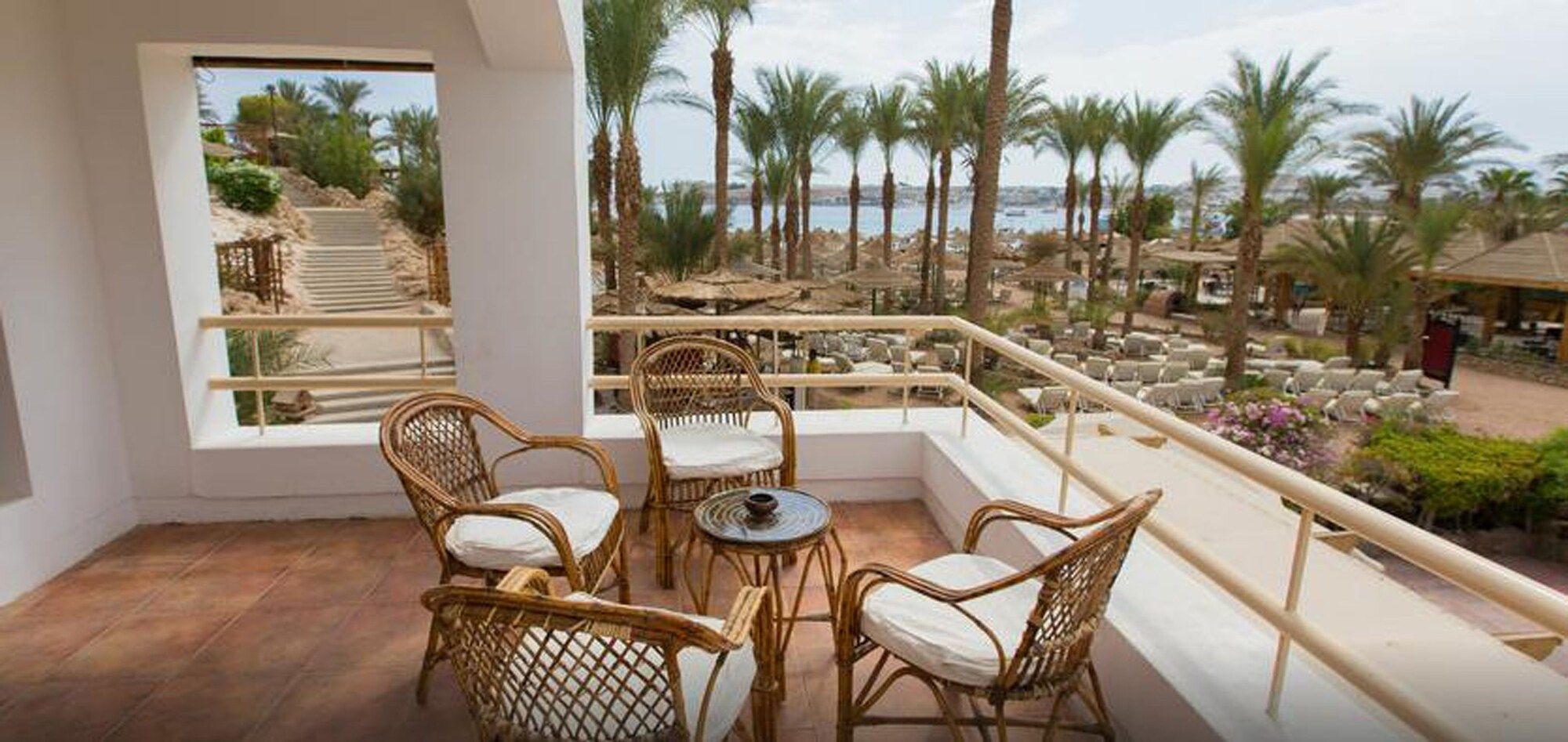 Oonas Dive Club - שארם א-שייח' - מרפסת