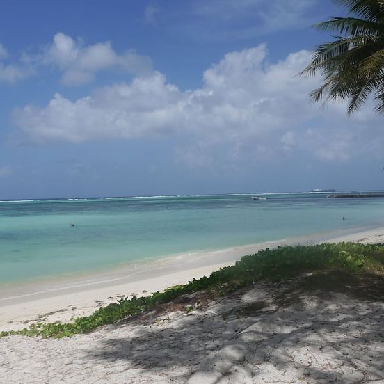 Beach view of Aquarius Beach Tower