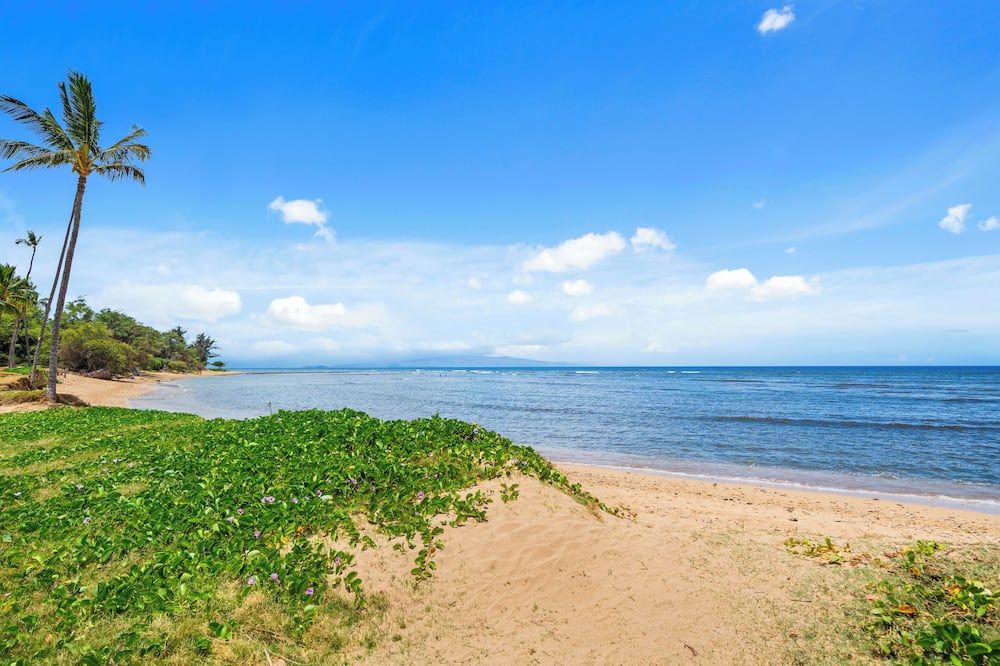 Maui Schooner Resort - קיהי - חוף