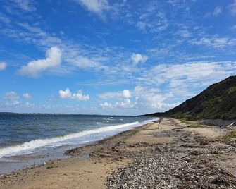 4 Star Holiday Home in Struer - Struer - Beach