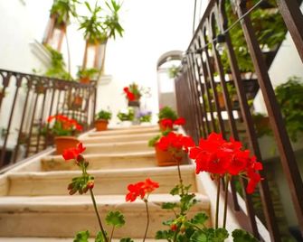 Malandrì B&B - Altamura - Aufgang