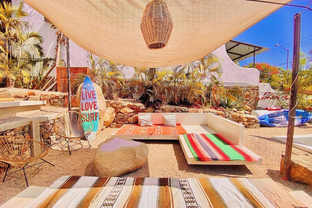 Perro Surfero - Todos Santos