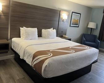 Quality Inn and Suites Red Wing - Red Wing - Bedroom