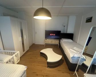 Ntn House - Saint Gallen - Вітальня