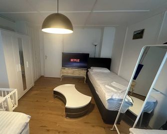 Ntn House - Sankt Gallen - Huiskamer