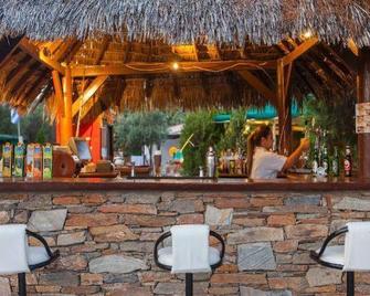 Coral Blue Beach Hotel Gerakini - Polígiros - Bar