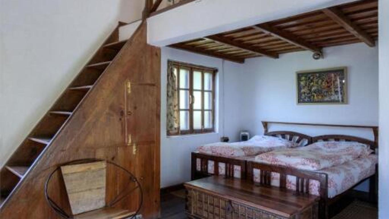 Jungle Lore Birding Lodge