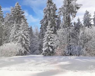 Ferienwohnung Waldblick Oberhof - Oberhof