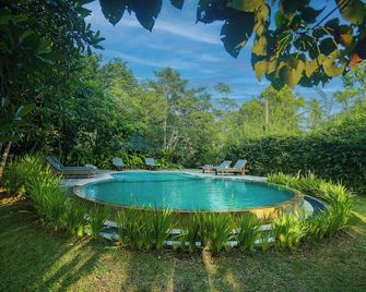 Ilukketiya Tea Chalets - Galle - Pool