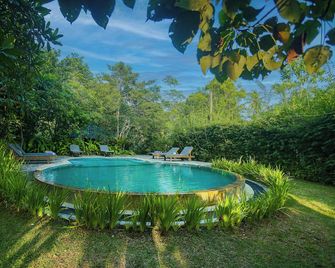 Ilukketiya Tea Chalets - Galle - Piscine