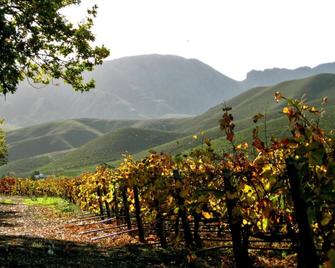 Robertson Boutique Backpackers - Robertson - Outdoors view