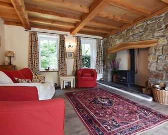 Cwmbrandy Cottage - Fishguard - Living room