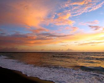 Royal Inn Beach Hutchinson Island - Fort Pierce - Beach
