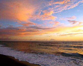 The Royal Inn Beach Hotel Hutchinson Island - פורט פירס - חוף