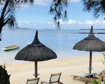 Seapoint Boutique Hotel - Pointe aux Canonniers - Strand