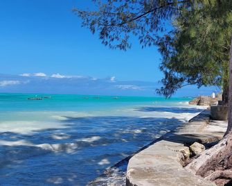 Stonefish Inn Jambiani - Jambiani - Beach