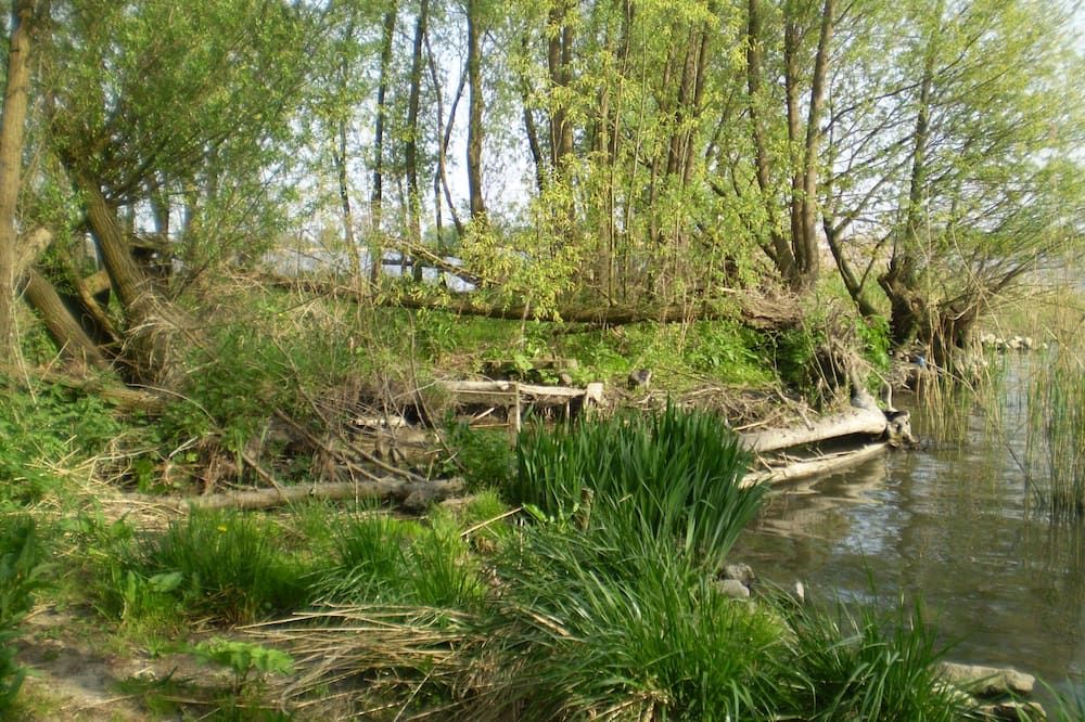 de Brabantse Biesbosch