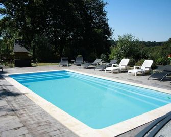 Brocéliande Les Gîtes Du Graal - 록미네 - 수영장