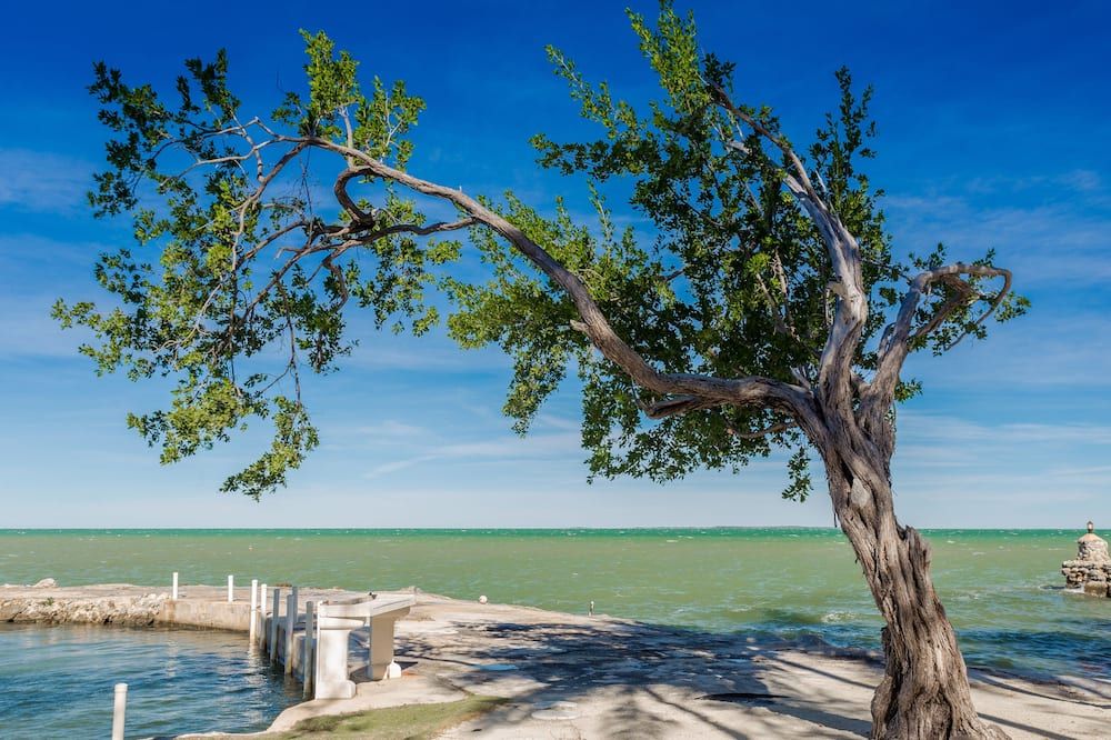 Beach view of 4 Bedroom Private Oceanfront House - Bahia