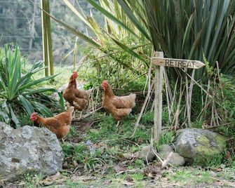 Golden Valley Retreat by Tiny Away - Waihi