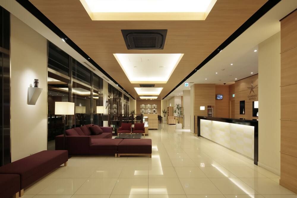 Candeo Hotels Kikuyo Kumamoto Airport - Kikuyo - Salónek