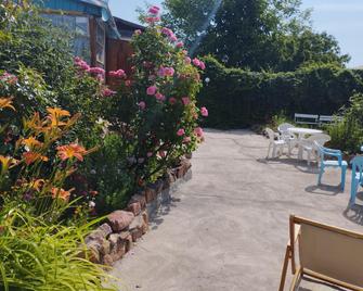 Gladiolus - Cholpon-Ata - Patio