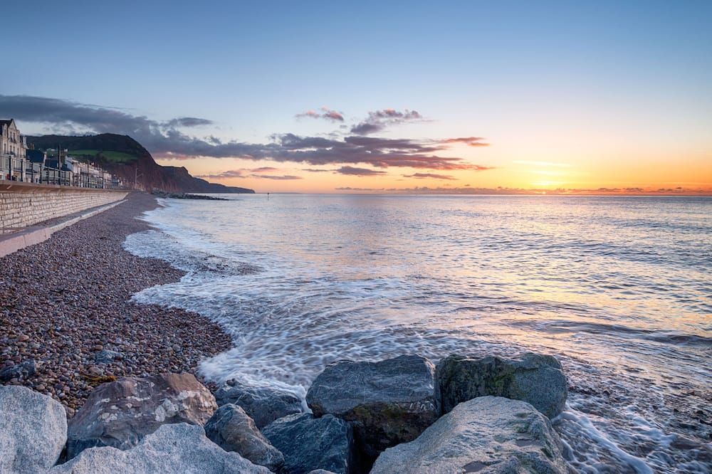 ذا بيلمونت هوتل - لبالغين فقل