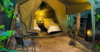 Victoria Falls Backpackers Lodge - Victoria Falls - Bedroom