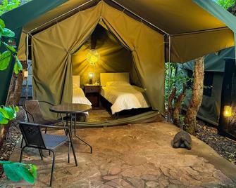 Victoria Falls Backpackers Lodge - Cascades Victòria - Habitació