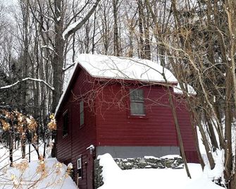 Cozy cabin in tranquil Canaan NY with WiFi, AC - Canaan - Outdoors view