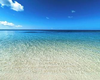 Vessel Hotel Ishigakijima - אישיגאקי - חוף