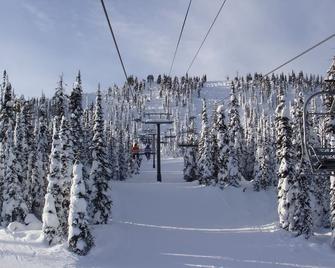 Adirondack Ski Mountain View Home - Malone - Annehmlichkeit