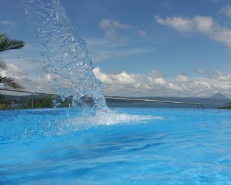 Penthouse Amazing Views Lake Arenal - Tilarán - Pool