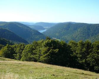 Apartment for 4 adults and 2 children between La Bresse and Gérardmer - La Bresse