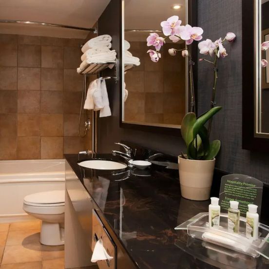 Holiday Inn & Suites Mississauga West - Meadowvale By IHG image 1