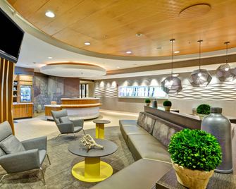 SpringHill Suites by Marriott Cincinnati Airport South - Florence - Lounge