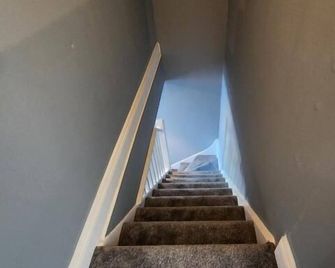 The Ivy - Grays - Trappen