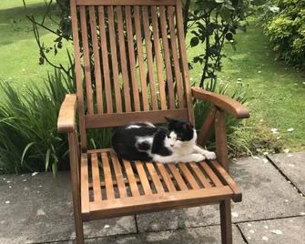 Upper Wood End Farm Holiday Cottages - Cranfield - Patio