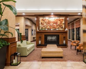 Hilton Garden Inn St. Louis Shiloh/O'Fallon - O'Fallon - Lobby