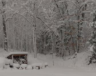 Quiet rural Maine cabin near Bigelow Preserve, Flagstaff Lake and Sugarloaf - Kingfield - Vybavení ubytovacího zařízení