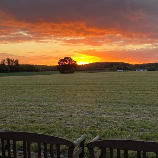 Cosy Farm Bnb - Caravans - Dogs Welcome - 5 Min from E47 – Haslev