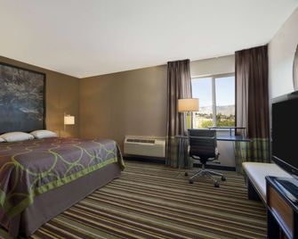 Super 8 by Wyndham Pocatello - Pocatello - Bedroom
