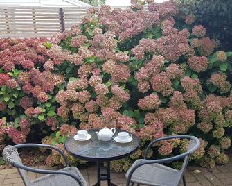Palm Court Motel - Otorohanga - Patio