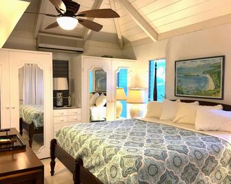 Sunshine & Happiness! 2 BR Home, pool & ocean view - Kingshill - Habitación