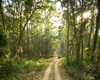 Banjaar Tola, Kanha - Mukki